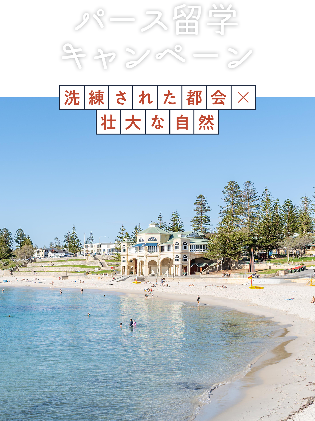 パース留学キャンペーン